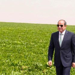 العوده للجذور الكشفية
