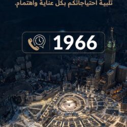 بيئة رابغ تنفذ جولات ميدانية على الأودية لرصد العقوم العشوائية