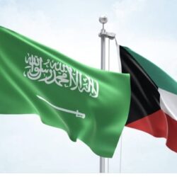 رئيس جامعة كفر الشيخ بجمهورية مصر العربية يشهد افتتاح مؤتمر «DIA KFS 2026» للسكر والغدد الصماء