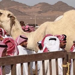 الهيئة العامة للطيران المدني: اعتداء يستهدف مطار الملك خالد الدولي بالرياض