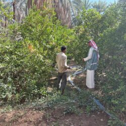 مدير تعليم الطائف يشارك طلاب المتوسطة يومهم الدراسي ويؤكد استمرار تعزيز الانضباط ورفع كفاءة الأداء التعليمي