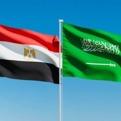 الرئيس عبد الفتاح السيسي يترأس مجلس الدفاع الوطنى