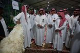بيئة منطقة مكة المكرمة تُدشن مهرجان الأنعام الأول بجدة لتعزيز الثروة الحيوانية وتحقيق الأمن الغذائي