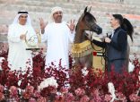 إنجاز قياسي جديد لمربط دبي في دولية الفجيرة لجمال الخيل العربي هاتريك ذهبي مرفوقا بسيف الفجيرة الذهبي ممشوقا