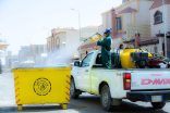 أمانة تبوك تستخدم أكثر من مائة ألف لتر من المبيدات لمكافحة الحشرات وبؤر تكاثرها