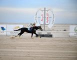 ميدان فروسية الجبيل يقيم سابع سباقاته للموسم الرياضي 2025 – 2026