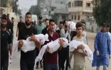 وزارة الصحة الفلسطينية: استشهاد 16350 امرأة وطفلًا منذ بدء العدوان الإسرائيلي على قطاع غزة