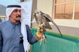 مهرجان الأصالة للصقور الأول متلقى الصقارين بمحافظة غامد الزناد