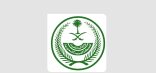 وزارة الداخلية: تطبيق غرامة مالية تصل إلى 20.000 ريال بحق من يضبط مؤديًا أو محاولًا أداء الحج دون تصريح