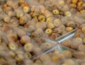 مهرجان بريدة للتمور يستقبل أكثر من 100 صنف من التمور يوميًا