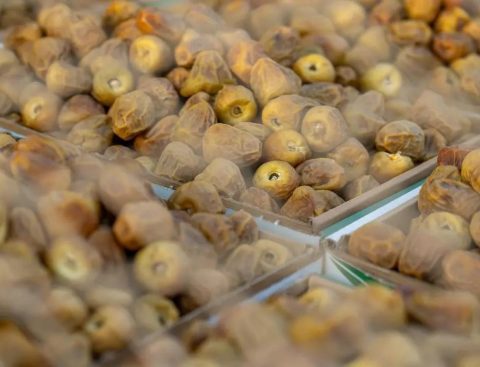 مهرجان بريدة للتمور يستقبل أكثر من 100 صنف من التمور يوميًا