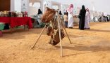 مزاد الإبل بالجوف يعيد حرفة “الصميل” إلى الواجهة