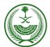 وزارة الداخلية: السجن والغرامة والمنع من الاستقدام لصاحب العمل من الأفراد الذي يمكن عمالته من العمل لدى الغير أو لحسابهم الخاص