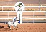 ميدان فروسية المدينة يقيم سباقه السادس للموسم الرياضي 1446هـ