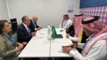 وزير الخارجية المصري يلتقي الرئيس التنفيذي للصندوق السعودي للتنمية