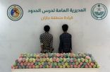 حرس الحدود بمنطقة جازان يقبض على مخالفين لنظام أمن الحدود لتهريبهما 280 كلجم من القات المخدر