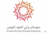 بمشاركة 123 هجان وهجانة من 13 دولة في مهرجان ولي العهد غداً .. انطلاق سباق الهجانة في الطائف