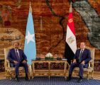 استقبل السيد الرئيس عبد الفتاح السيسي، اليوم الرئيس الدكتور حسن شيخ محمود، رئيس جمهورية الصومال الفيدرالية الشقيقة.