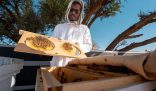 هيئة تطوير محمية الإمام تركي الملكية تسجل أكثر من 11 ألف خلية نحل خلال موسمي الطلح والسدر