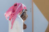 الإنتاج المحلي تنتزع الصدارة في شوط (الحر) بسباق الملواح ضمن معرض الصقور والصيد السعودي الدولي 2025