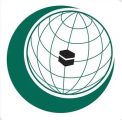 منظمة التعاون الإسلامي ترحب باتفاق وقف إطلاق النار في لبنان
