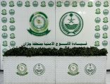 دوريات الأفواج الأمنية بمنطقة جازان تُحبط تهريب 33كلجم من نبات القات المخدر