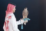 الدوسري يشارك بالصقر الأغلى في مزاد نادي الصقور السعودي 2024 ويبيعه بـ 400 ألف ريال