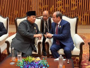 الرئيس عبد الفتاح السيسى يلتقى الرئيس الإندونيسي