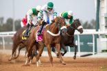 نادي سباقات الخيل للفروسية يقيم منافسات الأسبوع الثامن من موسم سباقات الطائف