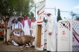 في ختام موسم الإطلاقات: أكثر من 1,200 حياة تنطلق في الطبيعة