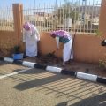 بيئة الكامل تطلق مبادرة لتشجير المركز الصحي بالمحافظة