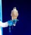 بيع 3 صقور في الليلة العاشرة من ليالي مزاد المركز الوطني للصقور 2026