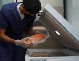 أمانة الباحة تنفّذ أكثر من 7 آلاف جولة رقابية صحية خلال ديسمبر