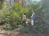 بيئة الكامل – تنفذ مبادرة رعاية وزيادة إنتاج أشجار الليمون من جولة ميدانية إرشادية علي احدى المزارع