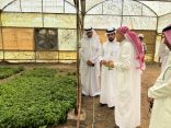 “المزرعة النموذجية للزراعة المائية بالمدينة المنورة”.. تنتج أكثر من مليوني كيلوجرام من المحاصيل الزراعية المتنوعة