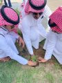 بيئة رنية تشجير مستشفى رنيه العام
