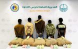 حرس الحدود بمنطقة عسير يقبض على 5 مخالفين لنظام أمن الحدود لتهريبهم 100 كلجم من نبات القات المخدر