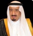 تحت رعاية خادم الحرمين الشريفين.. هيئة التخصصات الصحية تحتفي بتخريج (12.591) خريجًا وخريجة في ديسمبر المقبل