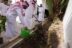 بيئة الطائف تطلق موسم التشجير بزرع 2,030 شتلة