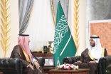 سمو محافظ الطائف يستقبل الرئيس التنفيذي لنادي الإبل