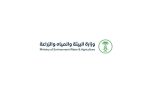 بيئة منطقة مكة المكرمة تستعد لتدشين وإنطلاق فعاليات اسبوع البيئة الاحد القادم