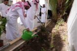 أمانة مكة تعزز التشجير المستدام للإرتقاء بجودة الحياة