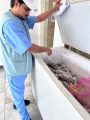 بيئة رابغ تكثف جولاتها الرقابية على أسواق النفع العام والمسالخ