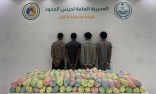 حرس الحدود بمنطقة جازان يقبض على 4 مخالفين لنظام أمن الحدود لتهريبهم 144 كلجم من نبات القات المخدر