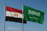 السعودية ومصر أكبر من حملات الفتنة