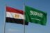 السعودية ومصر أكبر من حملات الفتنة