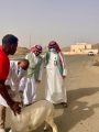 بيئة أضم تنفذ ورشة ميدانية للكشف على المواشي وتعزيز جودة اللحوم استعداداً لموسم الحج 1446هـ