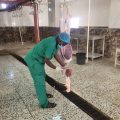 بيئة الكامل تتفقد مسلخ المحافظة