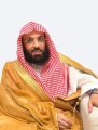 بصمة مبهرة، كتاب عن سيرة الأمير محمد بن سلمان للمؤلف السدر