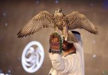 مزاد للصقور في معرض أبوظبي الدولي للصيد والفروسية ٢٠٢٤ عبر الإنترنت